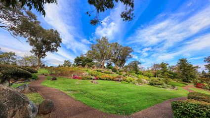 Japanese Garden - Cowra 